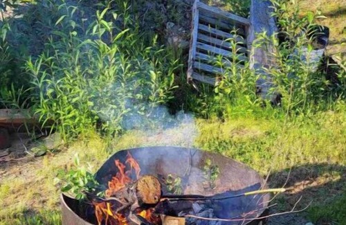 Willow Cabin | Rustic dry Cabin on Nancy Lake! True Alaskan Experience with Outhouse!