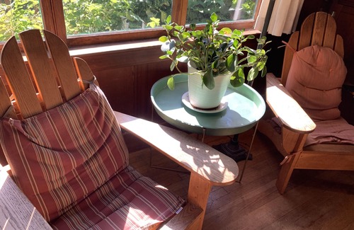 Inverness House | Rustic family vacation retreat with private tennis court (dogs welcome!)