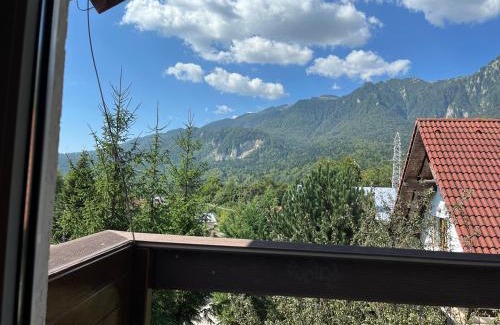 Busteni House | Rustic House Busteni