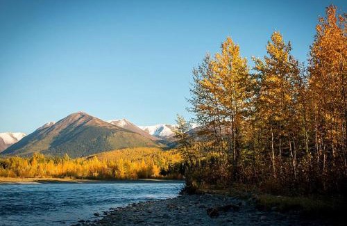 Cooper Landing House | Rustic Log Cabin on the Banks of Kenai Lake, Alaska