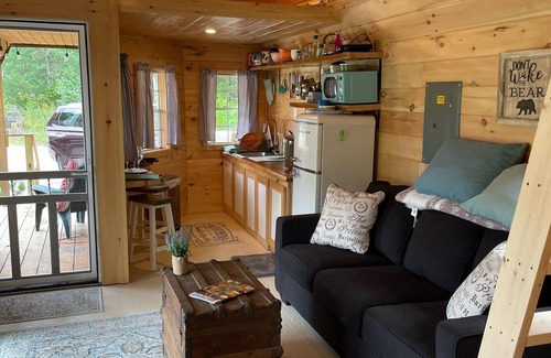 Buckfield Cabin | Rustic Mountain View Cabin