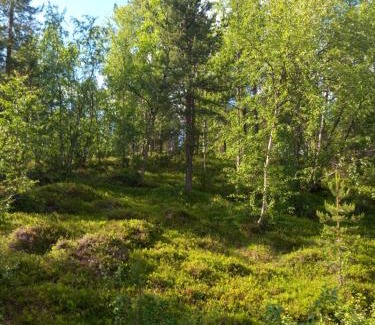 Inari Apartment | Rustic Old Lakeside Cottage at Sevettijärvi