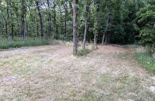 Berrien Springs RV Rental | Rustic Tent Campsite #3