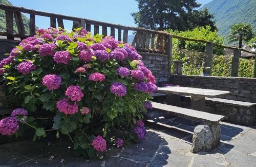Coglio House | Rustico La Rocca by Fewotessin