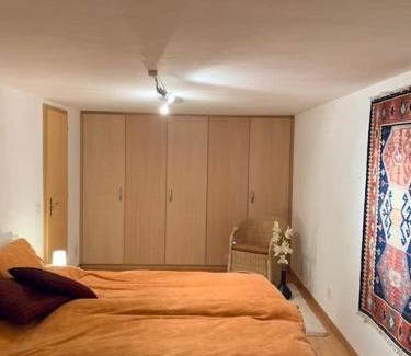 Faido Ski Chalet | Rustico Valgrazia