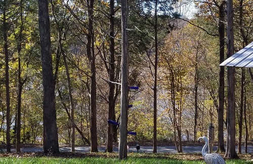 Camden Other | RV Hookup, Monthly Rental!
