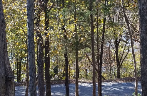 Camden Other | RV Hookup, Monthly Rental!