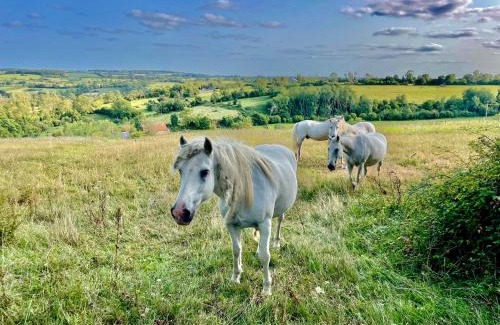 Les Champeaux House | Séjour à la campagne près de Camembert dans le bocage normand