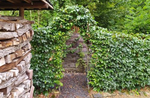 Sevry House | Séjour en famille au Bois Joli, détente, nature, activités pour tous