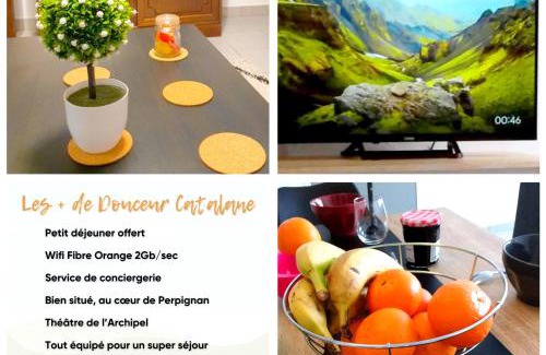 Clemenceau Apartment | Séjour Perpignan avec petit-déjeuner à la demande à 20 minutes de l'Espagne à La Douceur catalane