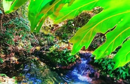 Murutinga do Sul House | Sítio Santo Reis - Paraíso das Águas