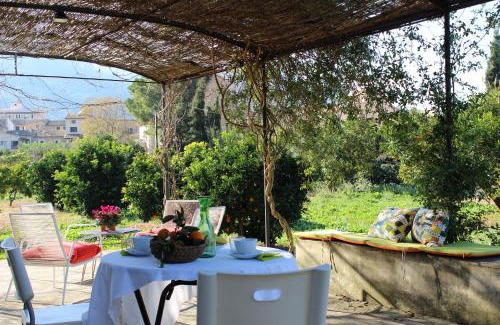 Soller House | Sóller Relax II, cozy and rural apartment
