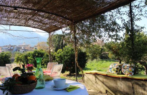 Soller House | Sóller Relax II, cozy and rural apartment