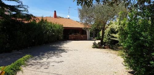 Sassari House | "SA DOMO DE SOS ARANZOS"