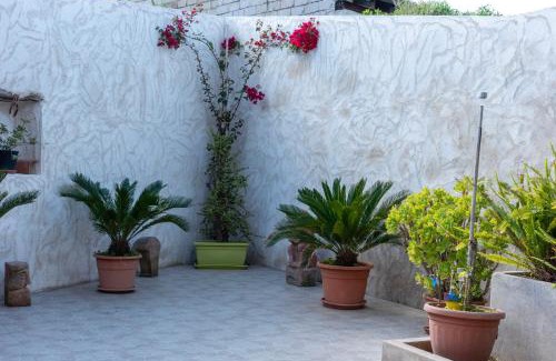 Fordongianus Apartment | Sa Domu