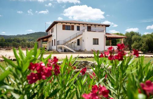 Olmedo House | Sa Mandracchina