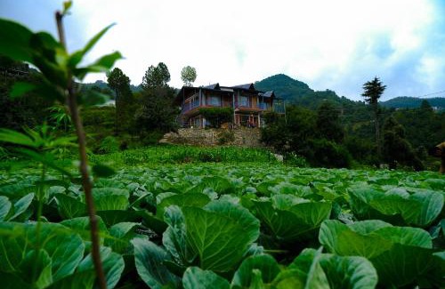 Kaul House | Saanidhya Homestay