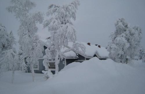 Saariselka House | Saariselän Marjamajat