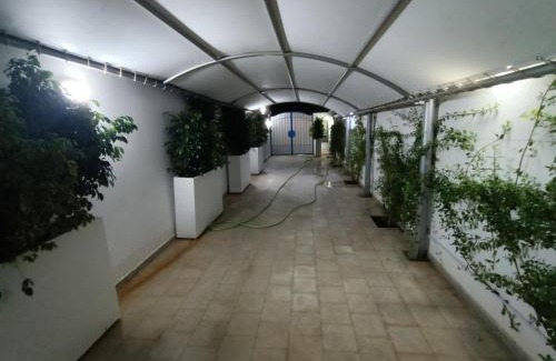 Djerba Ajim House | SABA Djerba Ajim