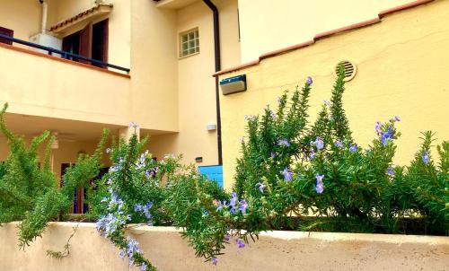 Bella Farnia House | Sabaudia villetta a pochi minuti dal mare