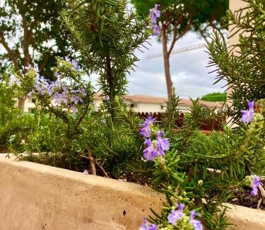 Bella Farnia House | Sabaudia villetta a pochi minuti dal mare