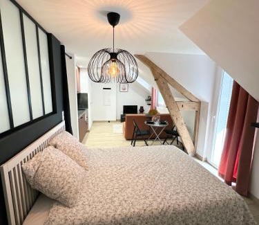 Rodez Apartment | Sacré appartement/Jardin/Parking/Wifi
