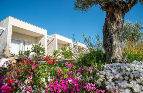 Olbia Resort | Sacuba Resort & Botanic Golf Club