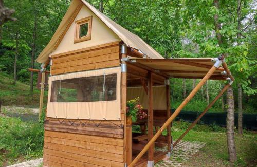 Force Other | Saecula Natural Village Experience