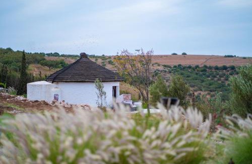 Boulaouane House | Safa Boulaouane