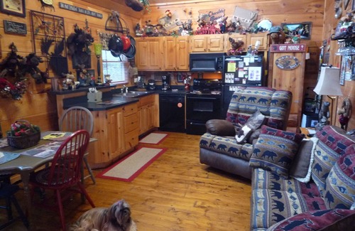 Gatlinburg - Pigeon Forge Cabin | Safe Dog Walking-QUIET PRIVATE DEAD-END ROAD-King Bedroom-WIFI-Hot Tub-