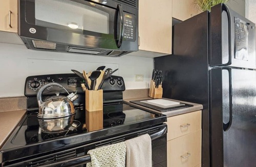 South Loop Condo | Safe Dtown Park VIEWS| Mich Ave, Museums 2bd/2ba