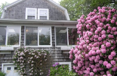 Sagamore Beach Cabin | Sagamore Beach, Cape Cod - Lovely old Cape known as the 'Rose Cottage'
