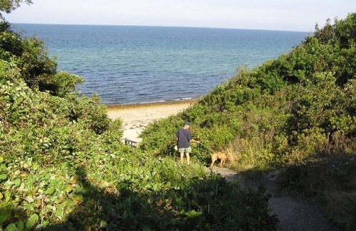 Sagamore Beach Cabin | Sagamore Beach, Cape Cod - Lovely old Cape known as the 'Rose Cottage'
