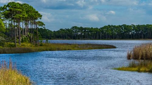 Gulf Trace House | Sage Haven
