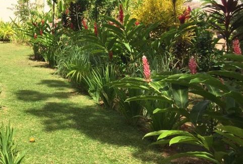 Praslin Island Apartment | Sahaj Holiday Apartments