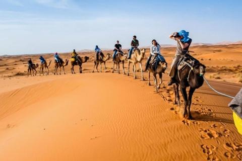 Merzouga Apartment | saharafox