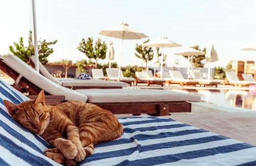 Marmari Other | Sails on Kos Ecolux Tented Village