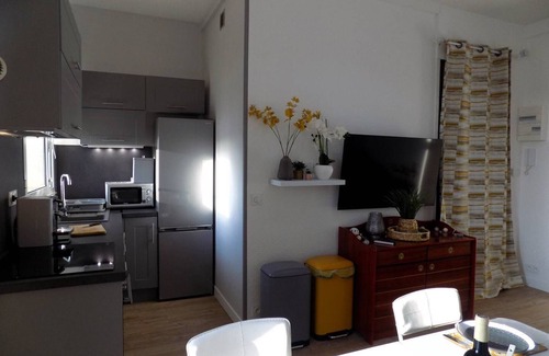 Saint-Palais-sur-Mer Apartment | Saint Palais sur Mer - SUPERB INFINITELY RARE APARTMENT - LE PHALENE