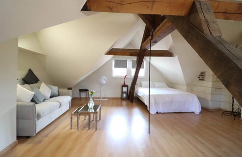 Old Town Apartment | SAITE TRINITÉ Logement entier : Duplex Troyes Centre Historique de Troyes