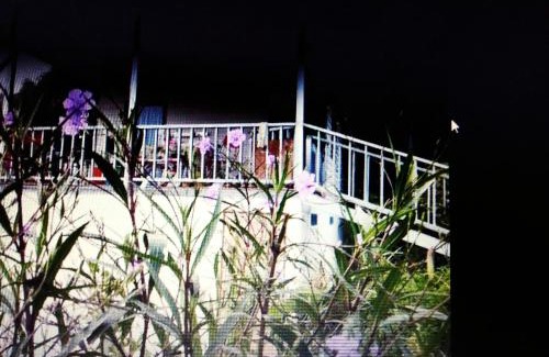 Mueang Ngai House | Saithonghouse The garden