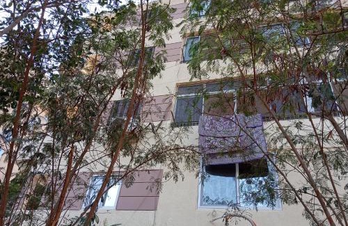 Nasr City Apartment | sakaliya apartment