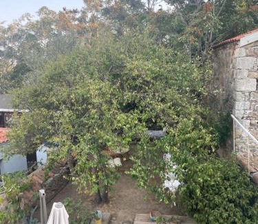 Bozcaada Villa | Sakin Bozcaada