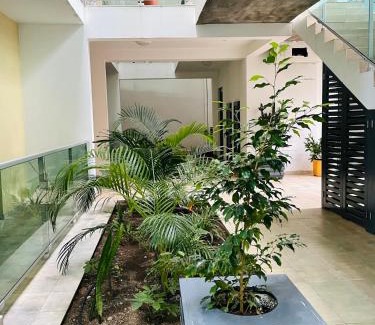 Santa Maria Apartment | Sal Little Heart Apartment 21