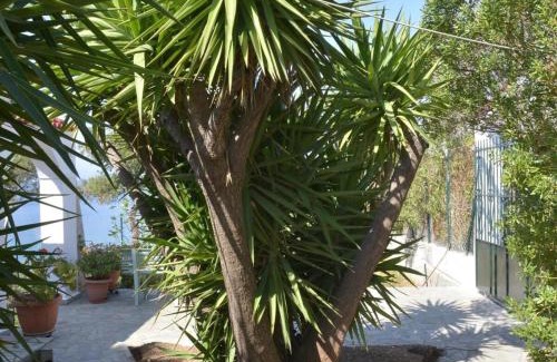 Salamis House | Salamis Beachfront House