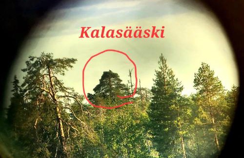Ranua Ski Chalet | Salen Saunamökki