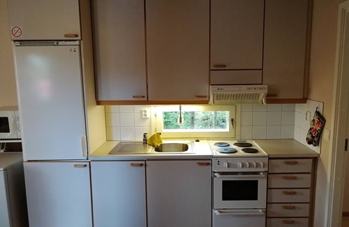 Orivesi Villa | Salkolahti Minttu