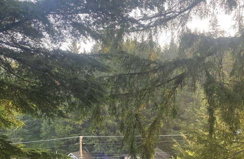 Ketchikan Cabin | Salmon creek cabin