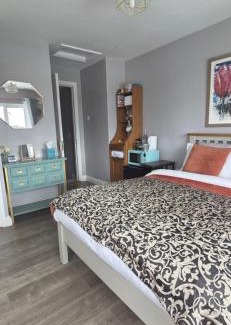 Dromineer House | Salmon island view