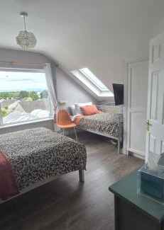 Dromineer House | Salmon island view