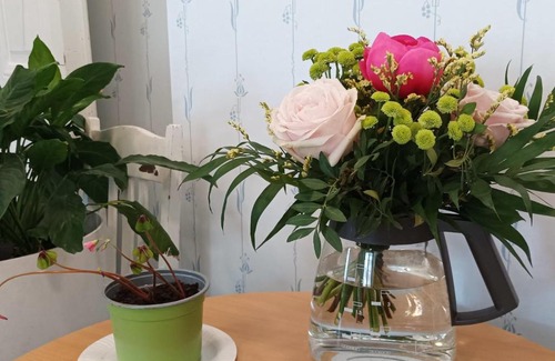 Tampere Hotel | Salonsaaren Pappila